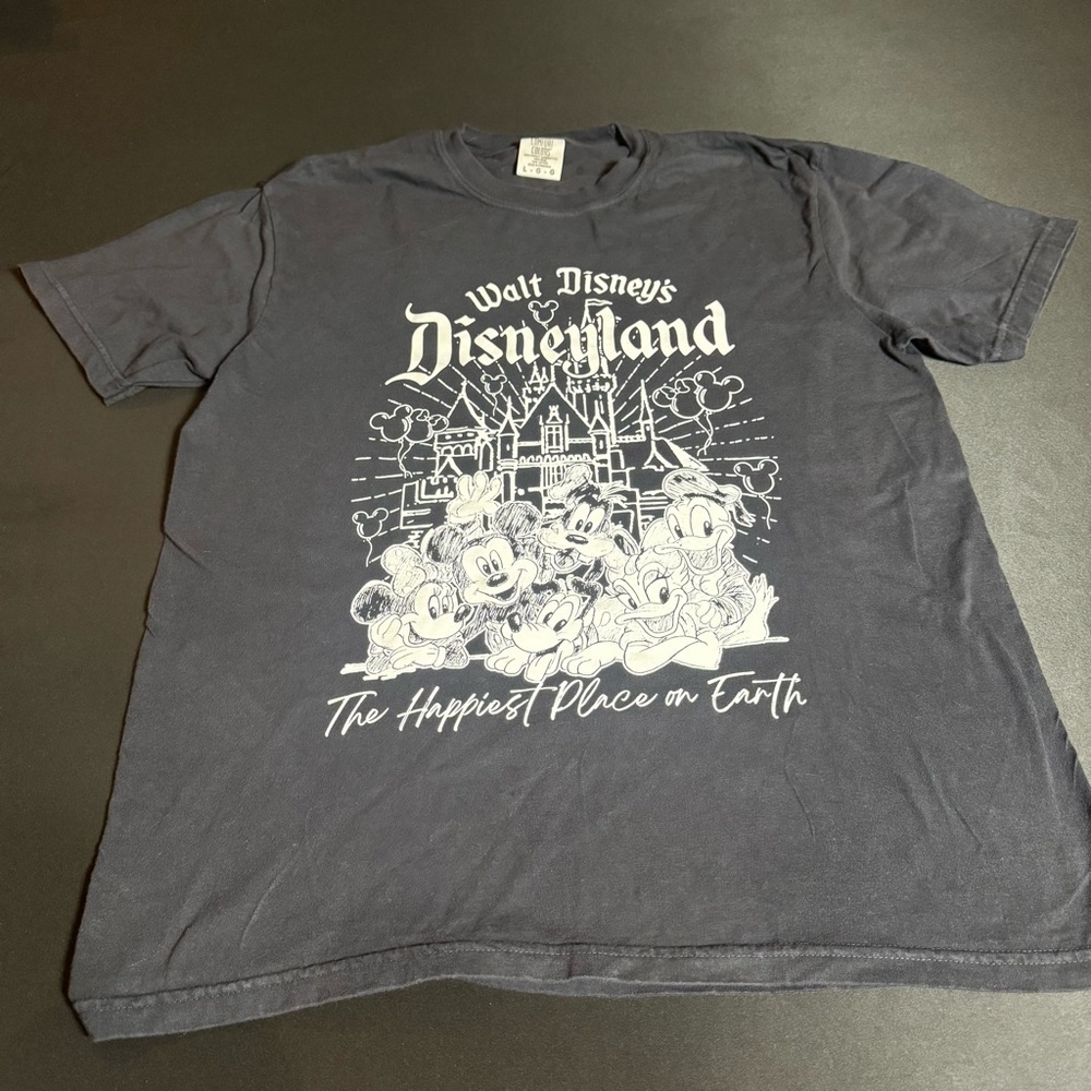 Disneyland Graphic T-Shirt Mickey & Friends Large Retro Americana Vintage
